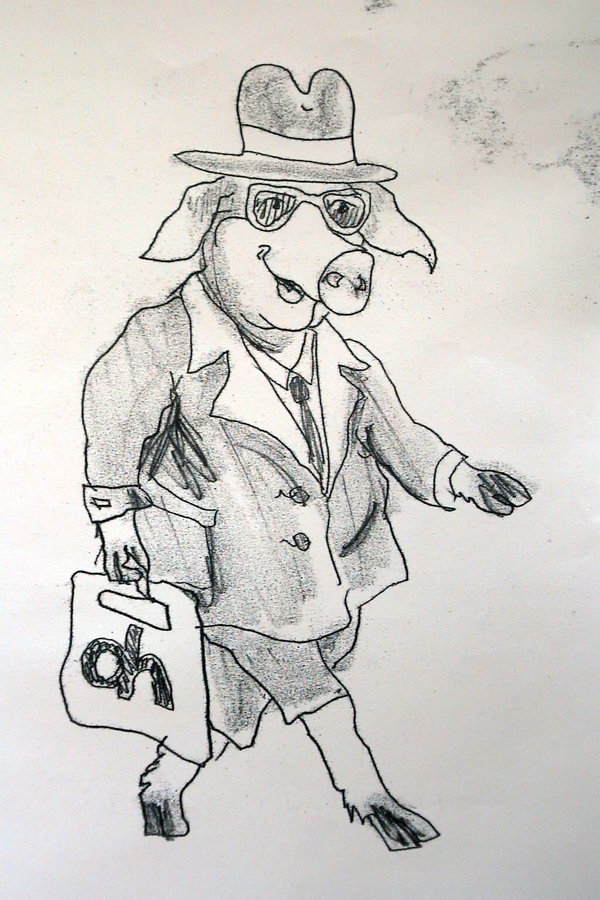 shopping-pig